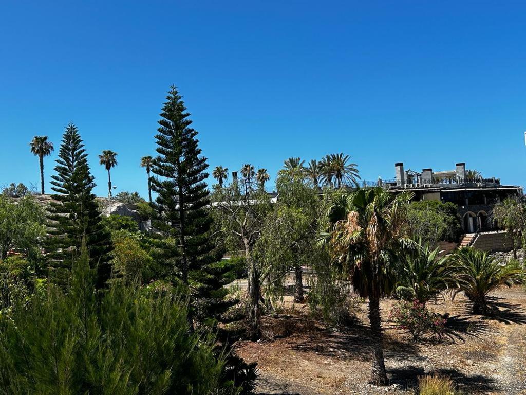 Villa Natali ,Luxury 3-Levels Large Villa On Tenerife, Ocean View, Private Poo L& Barbecue Area Costa Adeje  Exterior foto
